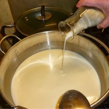 Before adding rennet: Milk has its liquid + milky look
