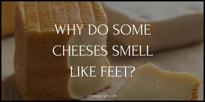 why-do-some-cheeses-smell-like-feet-cheese-origin