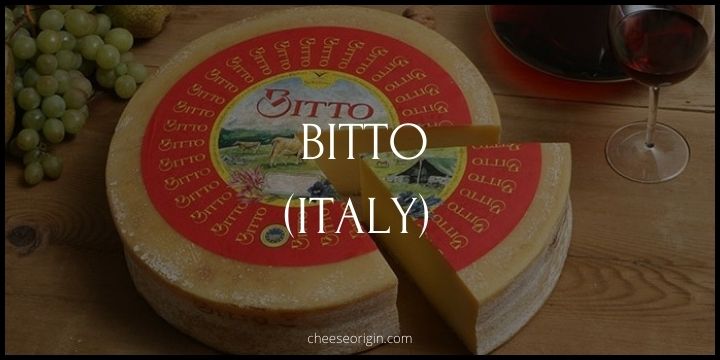 Bitto (ITALY) - Cheese Origin