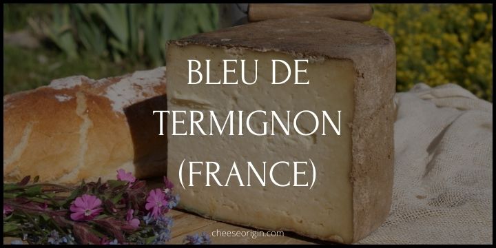 Bleu de Termignon (FRANCE) - Cheese Origin