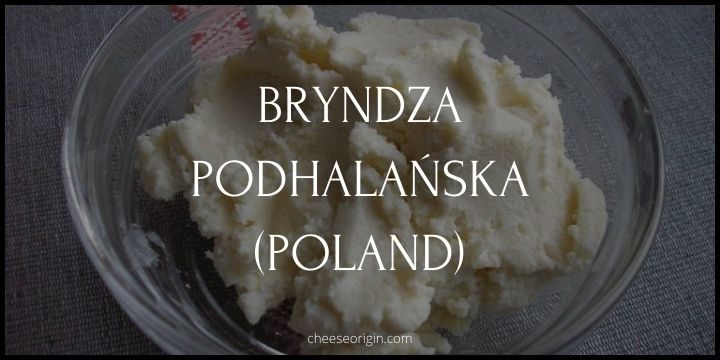 Bryndza Podhalańska (POLAND) - Cheese Origin