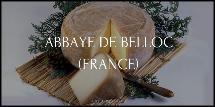 Abbaye de Belloc (FRANCE) - Cheese Origin