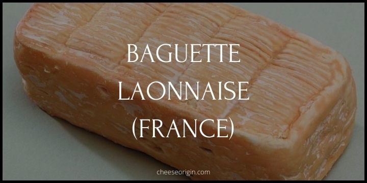 Baguette Laonnaise (FRANCE) - Cheese Origin