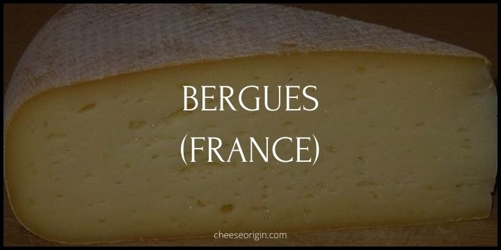 Bergues (FRANCE) - Cheese Origin