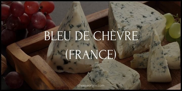 Bleu de Chèvre (FRANCE) - Cheese Origin