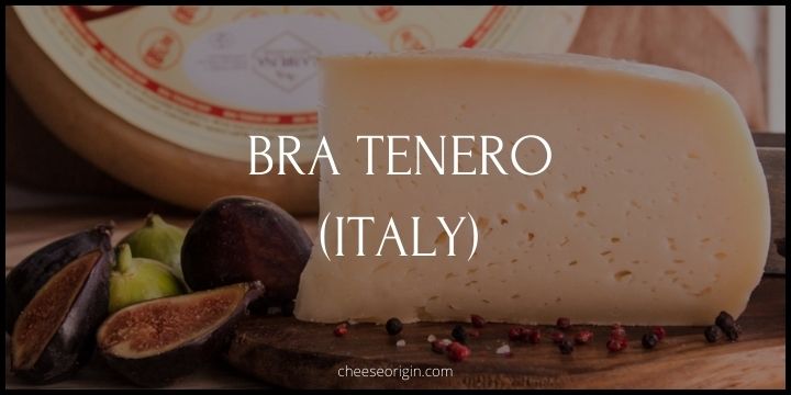 Bra Tenero (ITALY) - Cheese Origin