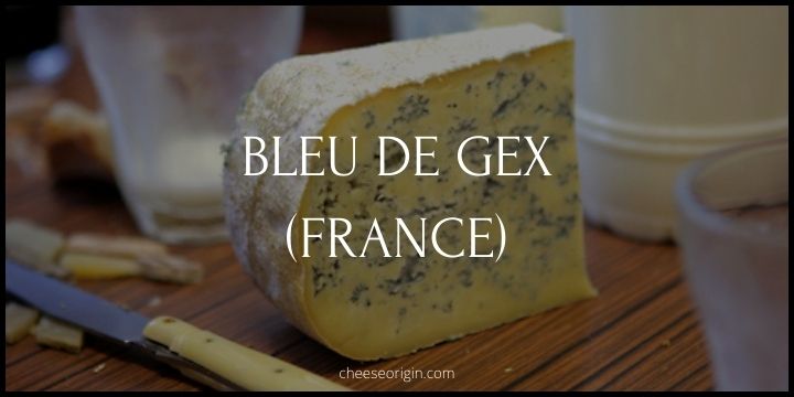 Bleu de Gex (FRANCE) - Cheese Origin