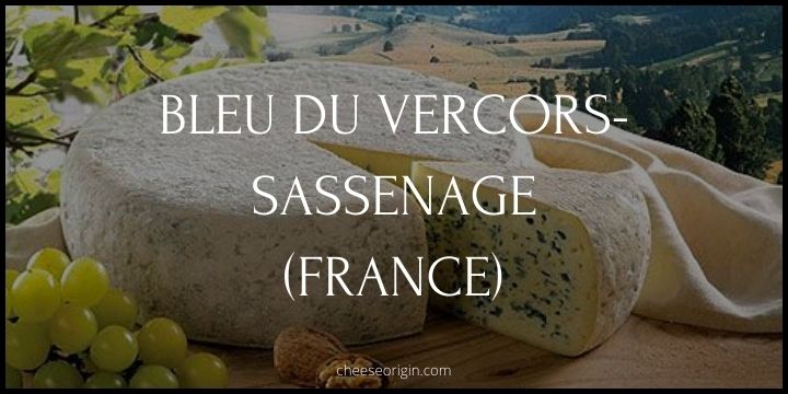 Bleu du Vercors-Sassenage (FRANCE) - Cheese Origin