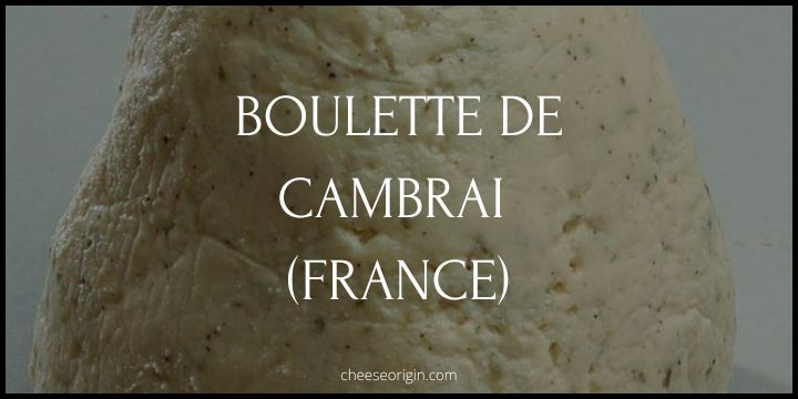 what-is-livarot-cheese-the-pungent-delight-from-normandy