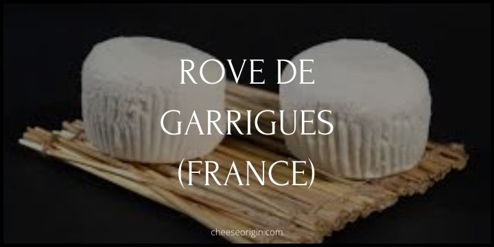 Rove de Garrigues (france) - Cheese Origin