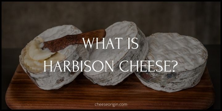 What is Harbison Cheese? The Creamy Delight from Jasper Hill Farm - Cheese Origin
